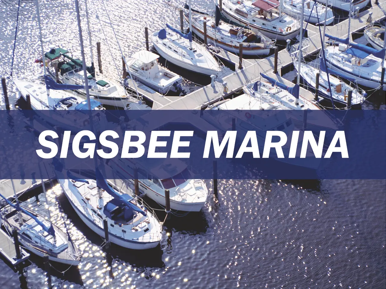 Sigsbee Marina Survey