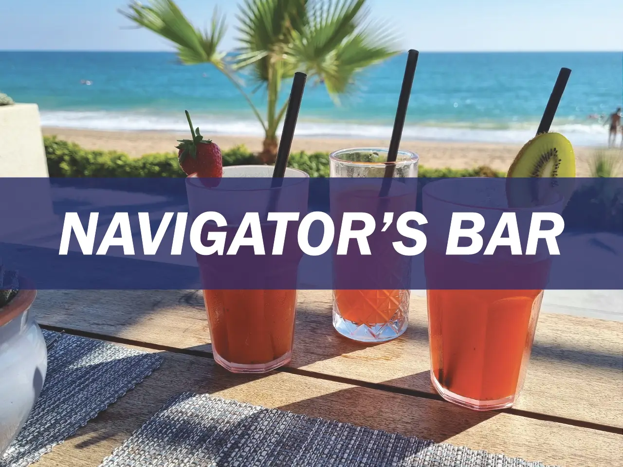 Navigator's Bar Survey